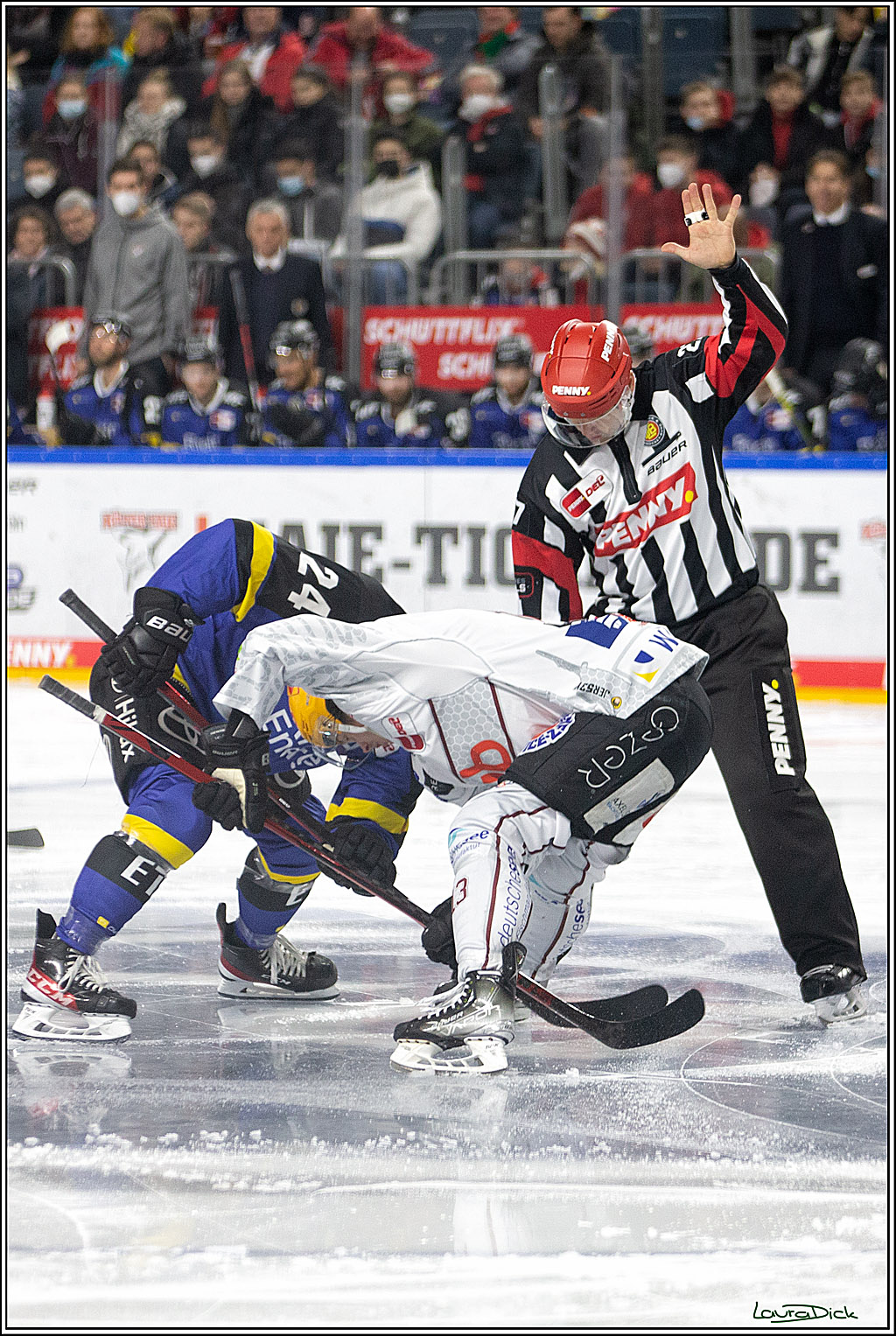 PENNY DEL; Koelner Haie- Fishtown Pinguins Bremerhaven; Koeln, 23.11.2021